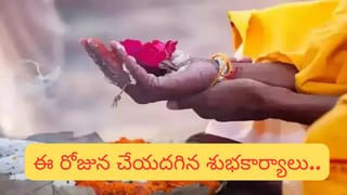 Crow Symbolism: హిందూమతంలో కాకులకు  మన పూర్వీకులకు ఉన్న రహస్య సంబంధం ఏమిటి?