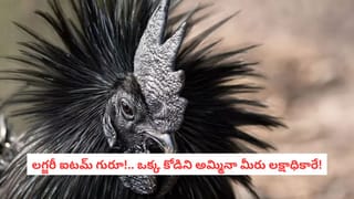 పిల్లల పేరుతో PPF అకౌంట్‌ ఓపెన్‌ చేయొచ్చా? పేరెంట్స్‌ తెలుసుకోవాల్సిన విషయం