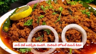 రోహిణి కార్తెలో వంకాయ తింటే ఏమవుతుందో తెలుసా..? ఈ విషయాలు తెలిస్తే నోరెళ్లబెడతారు..