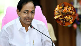 కేసీఆర్‌కు ఇష్టమైన కర్రీ ఇదే.. ఎలా వండితే ఇష్టంగా తింటారో తెలుసా?