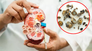 Bathing Science: ఉదయం స్నానం మంచిదా? రాత్రి స్నానం మంచిదా? శాస్త్రవేత్తలు ఏం చెబుతున్నారంటే!