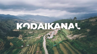 గ్యాస్, ఎసిడిటీ సమస్యతో ఇబ్బంది పడుతున్నారా..? ఇక నో ప్రాబ్లమ్.. ఉదయాన్నే ఇలా చేస్తే దెబ్బకు రిలీఫ్..