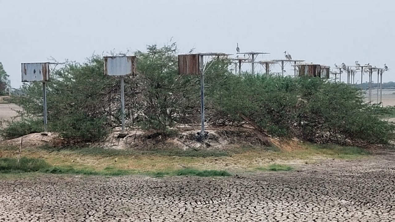 వర్షాలు , వరదల సమయంలో పెద్దఎత్తున సమీప పట్టణాలు, నగరాల నుండి వస్తున్న మురుగునీరు మరియు పారిశ్రామిక వ్యర్థాలు. ఎలాంటి శుద్ధి ప్రక్రియ లేకుండానే ఈ కలుషిత జలాలు నేరుగా కొల్లేరు సరస్సులోకి ప్రవహిస్తున్నాయి. దీనికి తోడు సరస్సు పరిధిలో వెలిసిన అనధికార రొయ్యల, చేపల చెరువుల్లో విచ్చలవిడిగా వాడుతున్న రసాయనాలు, పురుగుమందులు, కృత్రిమ మందుల వల్ల మిగిలి ఉన్న కొద్దిపాటి జలాలు కూడా పూర్తిగా విషతుల్యంగా మారుతున్నాయి. ఈ విషపూరిత నీటి ప్రభావంతో సరస్సులోని స్థానిక చేపల జీవవైవిధ్యం పూర్తిగా కనుమరుగవుతోందని పలువురు ఆవేదన వ్యక్తం చేస్తున్నారు.