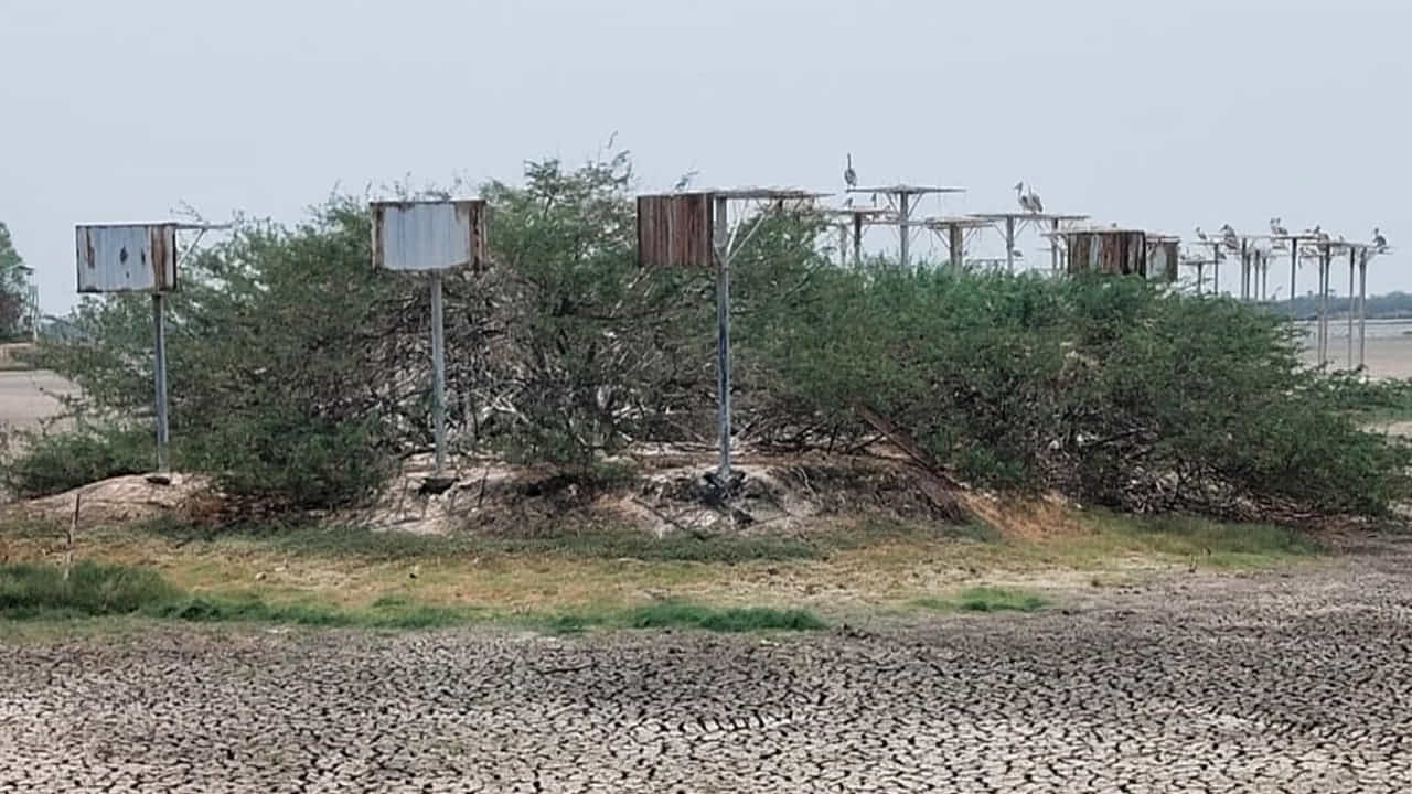 వర్షాలు , వరదల సమయంలో పెద్దఎత్తున సమీప పట్టణాలు, నగరాల నుండి వస్తున్న మురుగునీరు మరియు పారిశ్రామిక వ్యర్థాలు. ఎలాంటి శుద్ధి ప్రక్రియ లేకుండానే ఈ కలుషిత జలాలు నేరుగా కొల్లేరు సరస్సులోకి ప్రవహిస్తున్నాయి. దీనికి తోడు సరస్సు పరిధిలో వెలిసిన అనధికార రొయ్యల, చేపల చెరువుల్లో విచ్చలవిడిగా వాడుతున్న రసాయనాలు, పురుగుమందులు, కృత్రిమ మందుల వల్ల మిగిలి ఉన్న కొద్దిపాటి జలాలు కూడా పూర్తిగా విషతుల్యంగా మారుతున్నాయి. ఈ విషపూరిత నీటి ప్రభావంతో సరస్సులోని స్థానిక చేపల జీవవైవిధ్యం పూర్తిగా కనుమరుగవుతోందని పలువురు ఆవేదన వ్యక్తం చేస్తున్నారు.
