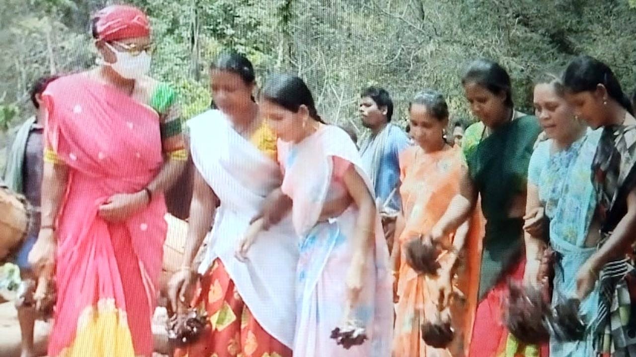 అడవి తల్లి అందించిన స్వరాలు.. పండగల్లో లయబద్ధ నృత్యాలు: నేటి ఆధునిక కాలంలో డిస్కో, బ్రేక్ డాన్స్, స్నేక్ డాన్స్ వంటి పాశ్చాత్య నృత్యాలు, కూచిపూడి, భరతనాట్యం లాంటి శాస్త్రీయ నృత్యాలు ప్రపంచాన్ని ఊపేస్తున్నా, కొండరెడ్డి గిరిజనులకు మాత్రం వాటితో ఎటువంటి ప్రమేయం లేదు. చుట్టూ ముసిరిన కొండలు, జలజలా పారే వాగుల సవ్వడులే వారి నృత్యానికి ప్రేరణ. అడవి తల్లి నేర్పిన లయకు అనుగుణంగా అడుగులు వేస్తూ వారు చేసే నృత్యాలు చూసేవారిని కట్టిపడేస్తాయి. గిరిజన గ్రామాల్లో జరిగే వివాహాది శుభకార్యాల్లోనూ, పండుగ పబ్బాల్లోనూ ఈ లయబద్ధమైన నృత్యాలు వారి సంస్కృతికి ప్రతీకలుగా నిలుస్తాయి. కోయిలల కుహూకుహూలు, సెలయేళ్ల గలగలలను మరిపిస్తూ సాగే గిరిపుత్రుల పాటలు, ఆటలు వారి నిష్కల్మషమైన ఆనందాన్ని చాటిచెబుతాయి.
