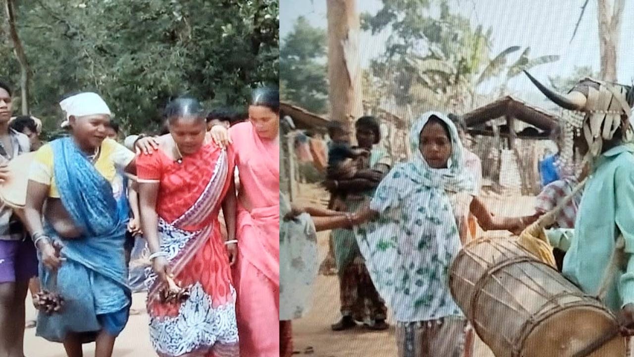 కోయ తెగ 'రేల' పాటలు.. జొన్నకూడు ఉత్సవాల సందడి : కొండరెడ్డి గిరిజనులతో పాటు ఏజెన్సీలో నివసించే కోయ తెగ ప్రజల సంస్కృతి కూడా ఎంతో సంపన్నమైనది. వీరు పాడే 'రెరె.. రెరెలా.. రేలా.. రేలా..' అంటూ సాగే రేలా పాటలు గిరిజన జీవన సౌరభాన్ని వెదజల్లుతాయి. ముఖ్యంగా కొండరెడ్లు జొన్న పంట చేతికి వచ్చే సమయంలో 'జొన్నకూడు.. జొన్నవిల్లు.. జొన్నకూలితే.. పోతేనత్త' అంటూ కొత్త పంటల పండుగలను వైభవంగా జరుపుకుంటారు. పసుపు పచ్చ పండుగ, మామిడి పండుగ, చింత పండుగ, భూదేవి పండుగలలో ఈ సాంప్రదాయ నృత్యాలు ఊపందుకుంటాయి. అలాగే పెళ్లిళ్ల సమయంలో 'కళ్ళేడమ్మ.. కళ్ళేడమ్ము.. గోగులపిల్లకు.. కెవ్వెల పెళ్లోడు' అంటూ వరుసపాటలు పాడుతూ పెళ్లి ఇళ్లలో ఆనందోత్సాహాలను నింపుతారు.
