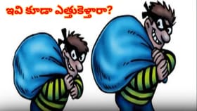 సమ్మర్ ఎఫెక్ట్.. ఈ దొంగలు ఏమి ఎత్తుకెళ్లారో తెలిస్తే..