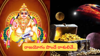 Vastu Tips: ఇంట్లో గన్నేరు మొక్క పెంచొచ్చా? దురదృష్టం అంటారు.. కానీ నిజం వేరే!