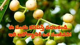 రోడ్డు ప‌క్క‌న ఎక్క‌డైనా ఈ పండ్లు క‌నిపిస్తే.. విడిచిపెట్ట‌కండి!?