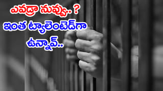 Viral Video: వందల అడుగుల ఎత్తులో పారాగ్లైడర్‌ను ఢీ కొన్న విమానం.. వీడియో చూస్తే మతి పోవాల్సిందే!