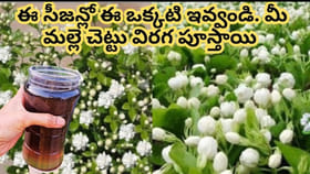 ఇంట్లో మిగిలిపోయి, పడేసే వాటితో ఇలా చేస్తే..