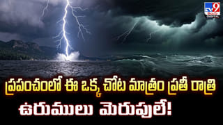 డైనోసార్ల కంటే ముందే పుట్టి ఇప్పటికీ బతుకుతున్న 5 జీవులు