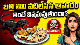 బల్లి తిని వదిలేసిన ఆహారం తింటే విషమవుతుందా?డాక్టర్లు చెప్పిన మాట