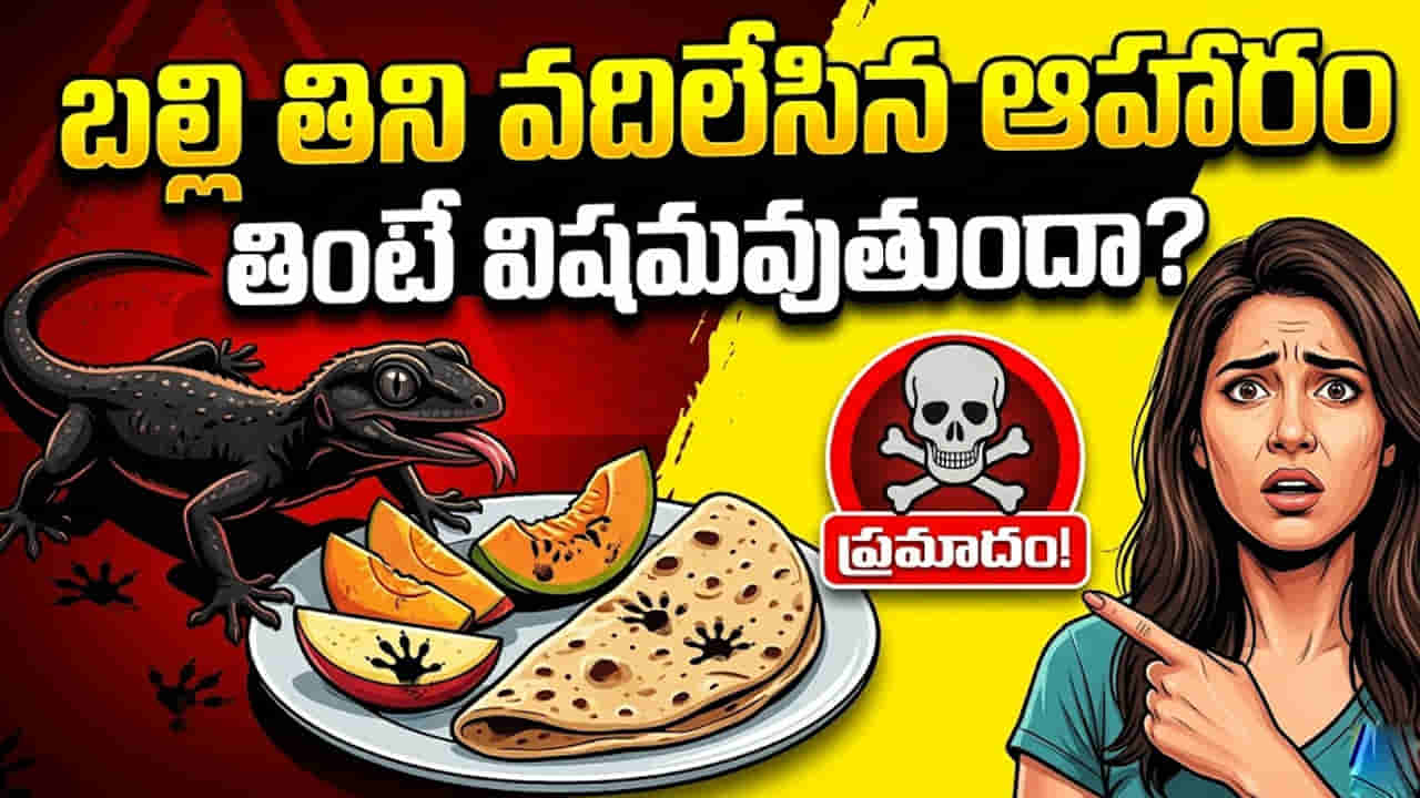 బల్లి తిని వదిలేసిన ఆహారం తింటే విషమవుతుందా? నిజమా, అపోహనా? డాక్టర్లు ఏం చెబుతున్నారంటే..