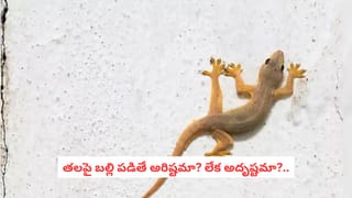 మే 29 రాశిఫలాలు: ఆ రాశి వారికి కొత్త ప్రయత్నాల్లో విజయం..!