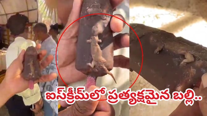 చల్లచల్లగా ఐస్‌క్రీమ్‌ తిందామనుకుంటే బల్లి ప్రత్యక్షం.. వీడియో