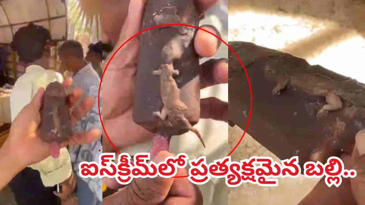 Viral: చల్లచల్లగా ఐస్క్రీమ్ తిందామనుకున్నాడు.. ఓపెన్ చేయగా.. కనిపించిన బల్లి.. చివరకు..