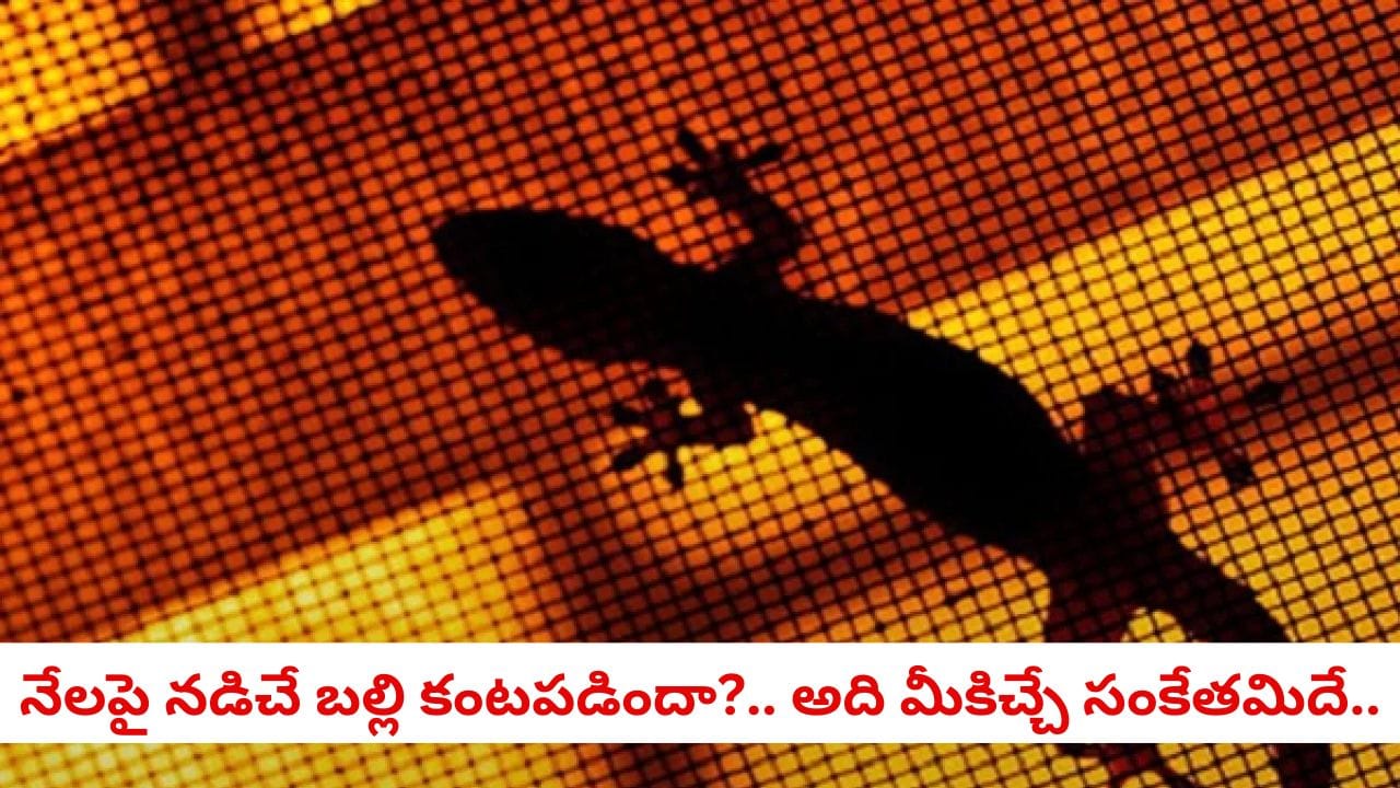 Vastu Shastra: ఇంట్లో బల్లి నేలపై నడిచినట్టు కనిపించిందా?.. అది దేనికి సంకేతమంటే!