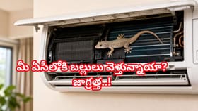 మీ ఏసీలోకి బల్లులు వెళ్తున్నాయా? జాగ్రత్త.. పెను ప్రమాదమే!