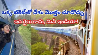 Pulwama Attack: పుల్వామా దాడికి పాల్పడ్డ కీలక ఉగ్రవాది హతం