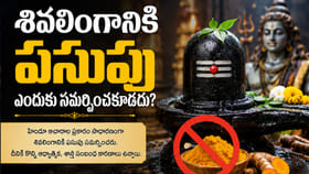శివలింగానికి పసుపు ఎందుకు సమర్పించరు? ఆశ్చర్యపరిచే ఆధ్యాత్మిక..