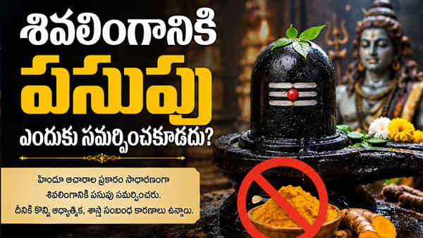 శివలింగానికి పసుపు ఎందుకు సమర్పించరు? ఆశ్చర్యపరిచే ఆధ్యాత్మిక రహస్యం!