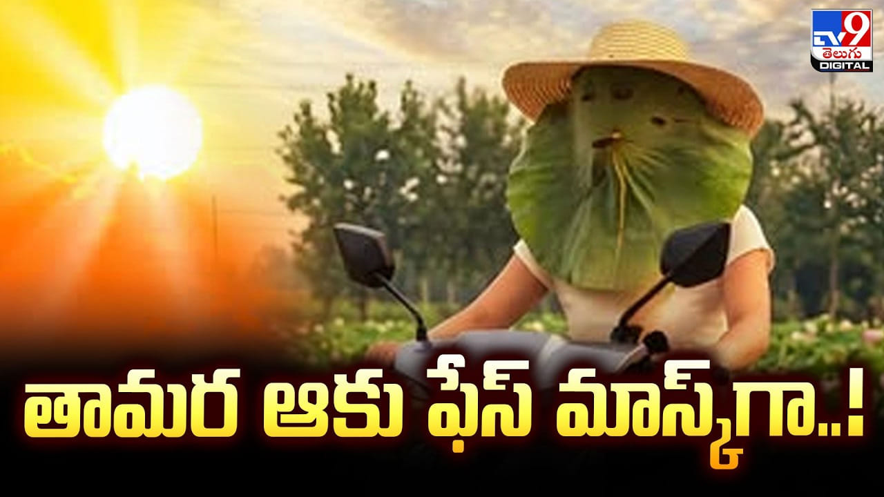 తామర ఆకులనే ఫేస్‌ మాస్క్‌లుగా..! వేసవిలో వైరల్ ట్రెండ్
