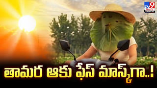 ఆహా.. మండుటెండలో వానరాల జలకాలాటలు.. చూడాల్సిందే