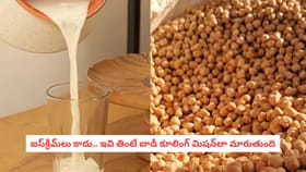 ఐస్‌క్రీమ్‌లు కాదు.. ఇవి తింటే బాడీ కూలింగ్ మిషన్‌లా మారుతుంది