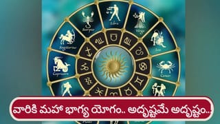 Lord Shani Devi: శని దోష విముక్తికి మరో గొప్ప అవకాశం.. ఈ పరిహారాలతో అదృష్టం..!