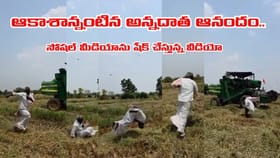 వయసు మరచి పల్టీలు కొడుతూ రైతు మల్లయ్య సంబురం.. వీడియో చూశారా..?