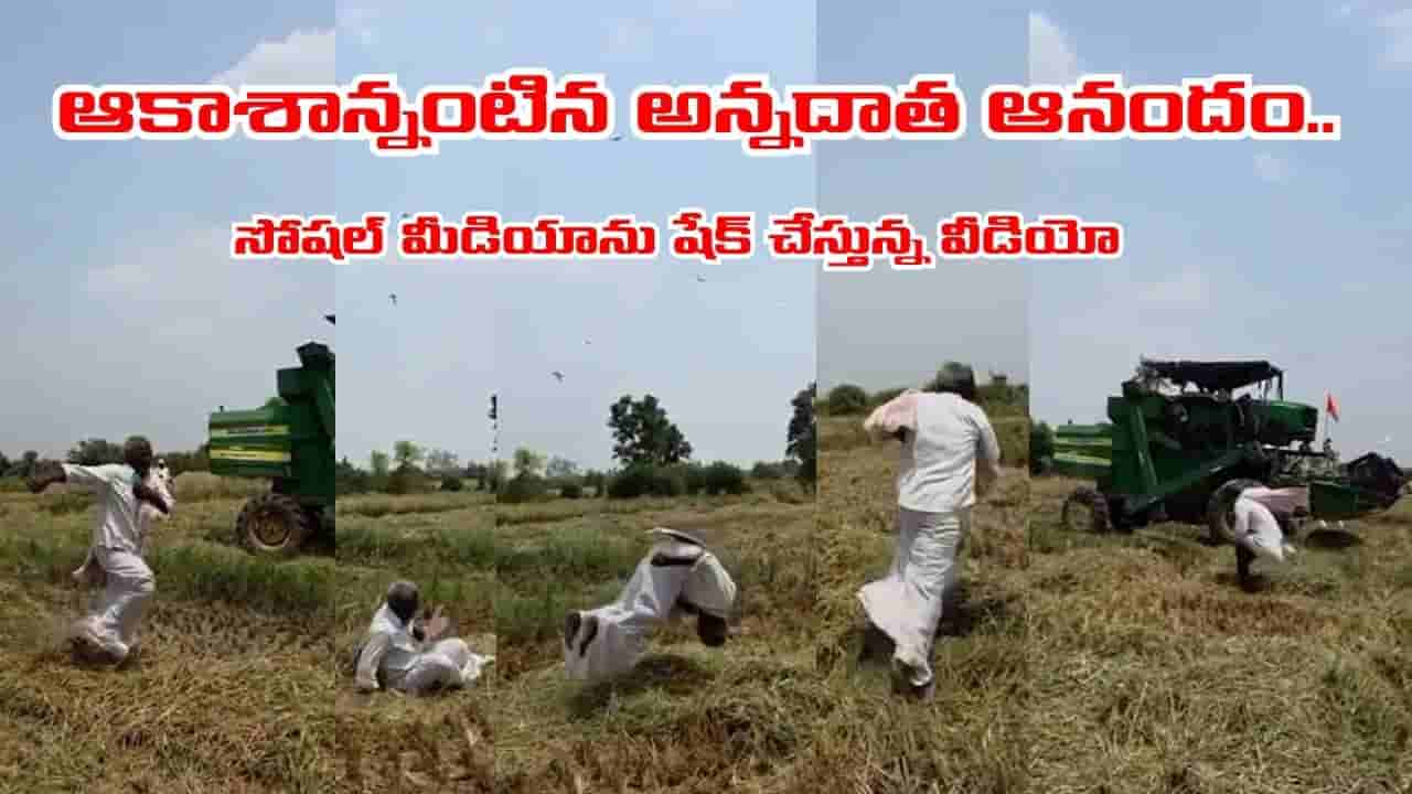 పంటను చూసి.. వయసు మరచి..! పల్టీలు కొడుతూ అన్నదాత సంబురం.. సోషల్ మీడియాను షేక్ చేస్తున్న వీడియో ఇదే