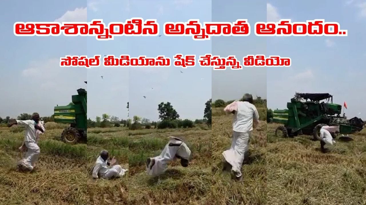 పంటను చూసి.. వయసు మరచి..! పల్టీలు కొడుతూ అన్నదాత సంబురం.. సోషల్ మీడియాను షేక్ చేస్తున్న వీడియో ఇదే