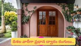 వాస్తు ప్రకారం మెయిన్ డోర్‌కు ఈ రంగులు వేస్తే డబ్బే డబ్బు!