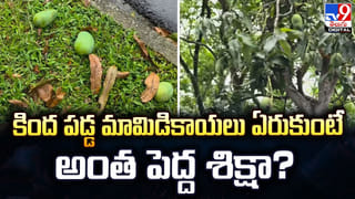 కొన్ని దేశాల్లో పాములు ఎందుకు ఉండవు ??