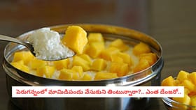 పెరుగన్నంలో మామిడిపండు వేసుకుని తింటున్నారా?.. ఎంత డేంజరో..