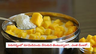 Immune Boosters: పదే పదే జ్వరం, జలుబు వస్తున్నాయా?.. డాక్టర్లతో పనిలేకుండా మీ ఇమ్యూనిటీని పెంచే సీక్రెట్ లీక్!