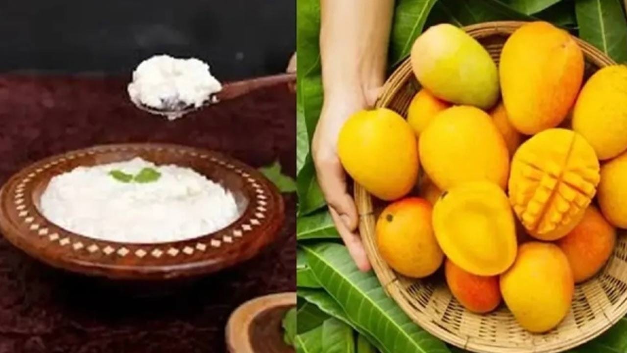 మామిడి-పెరుగు కాంబోతో  ఎంతో మంది వేసవిలో తింటారు ఇవి ఈ సమయంలో అందరికి  అమృతంలా అనిపిస్తాయి.ఈ  కాంబినేషన్ మంచిగా అనిపించినా.. కానీ కొన్ని సమస్యలు తప్పవని నిపుణులు చెబుతున్నారు. ఇంకా దీని మీద భిన్నాభిప్రాయాలు ఉన్నాయి. వైద్య నిపుణులు ఏం చెబుతున్నారో ఇక్కడ చదివి తెలుసుకుందాం.. 