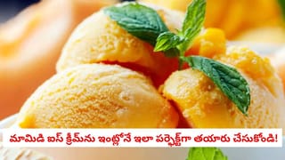 Why Fans Get Dusty: ఫ్యాన్ నిరంతరం తిరుగుతున్నా దుమ్ము ఎందుకు పేరుకుపోతుంది?