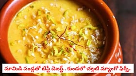 మామిడి పండ్లతో టేస్టీ డెజర్ట్.. కుండలో చల్లటి మ్యాంగో ఫిర్నీ..