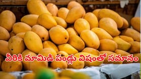 మామిడి పండ్లు వీరికి విషంతో సమానం.. మరిచి తిన్నారో అంతే సంతగులు