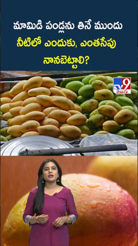 Mangoes: మామిడి పండ్లను తినే ముందు నీటిలో ఎందుకు నానబెట్టాలి?