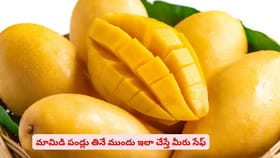 మామిడి పండ్లు తినే ముందు ఇలా చేస్తే మీరు సేఫ్