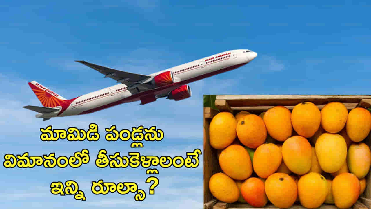 విమానాల్లో మామిడి పండ్లు తీసుకెళ్లవచ్చా? రూల్స్ ఏం చెబుతున్నాయంటే?