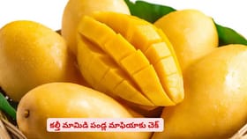 కల్తీ మామిడి పండ్ల మాఫియాకు చెక్ పెట్టే యాప్ ఉందని తెలుసా