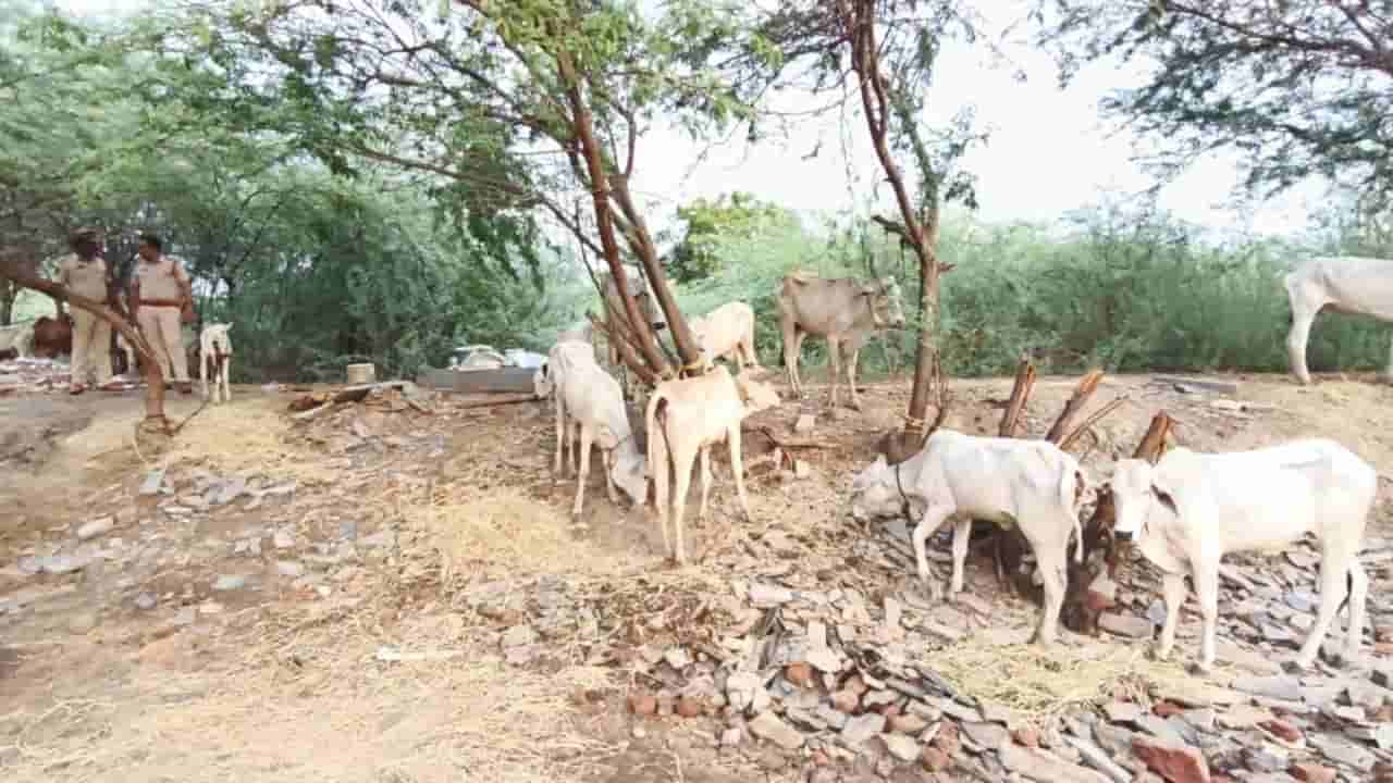 Andhra News: బయట నుంచి చూస్తే పశువుల కొటం.. కాస్త లోపలికెళ్లి చూడగా..