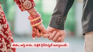 ACల అవసరం లేకుండానే ఇల్లు కూల్‌గా ఉండాలా..! ఈ పని చేస్తే చల్లదనమే ఇక
