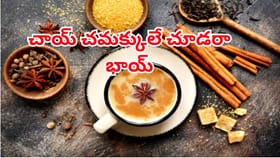 ప్రపంచంలోనే బెస్ట్ టీగా మన మసాలా చాయ్.. టేస్ట్‌అట్లాస్ జాబితాలో