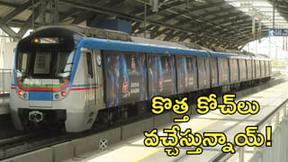 Petrol Prices: పెట్రోల్, డీజిల్ ధరలపై బాబా వంగా ఏం చెప్పారు..? ముందే ఊహించారా..?