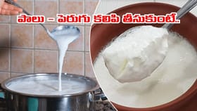 పాలు, పెరుగు కలిపి తింటే ఏమవుతుంది..? ఓర్నాయనో.. పెద్ద కథే ఉందిగా